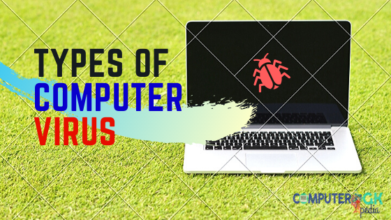 Types of Computer Virus | What are computer virus?